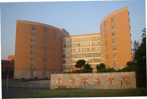 上海東海職業(yè)技術(shù)學(xué)院，RPA財務(wù)應(yīng)用在線開放課程建設(shè)競爭性磋商公告