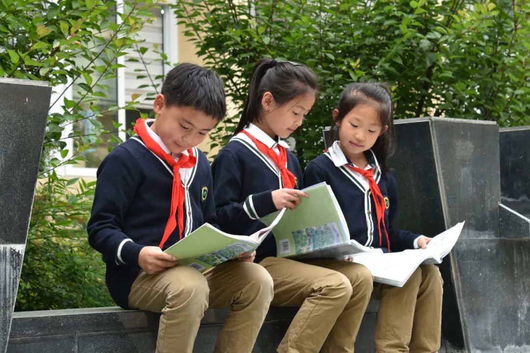 300多個低代碼應用，撐起一座海邊縣城的數(shù)字化小學